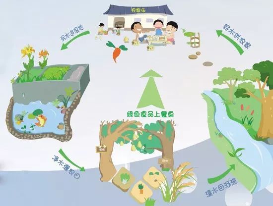 中国水电站分类资料下载-详解中国湿地分类系统与分类界定