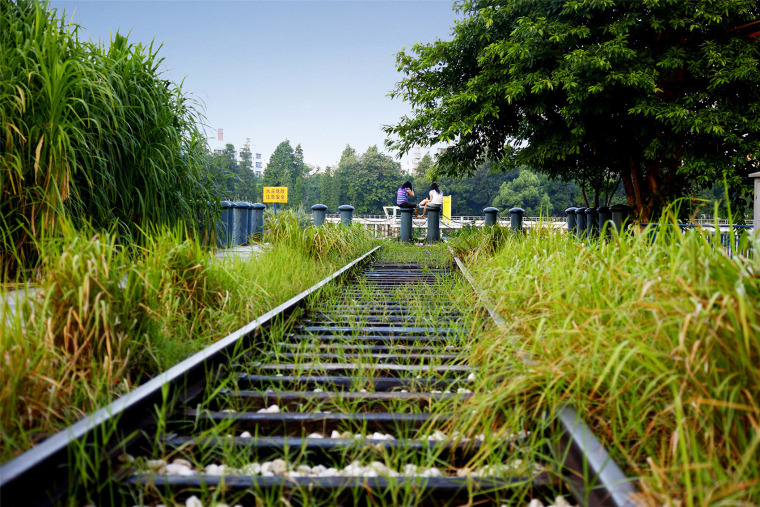 中山岐江公园-112-zhongshan-shipyard-park-china-by-turenscape