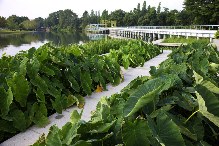 中山岐江公园-118-zhongshan-shipyard-park-china-by-turenscape