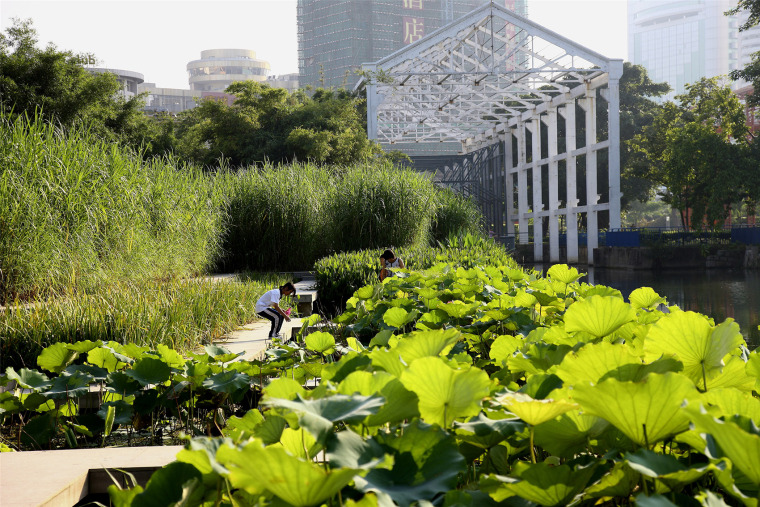 中山岐江公园-119-zhongshan-shipyard-park-china-by-turenscape