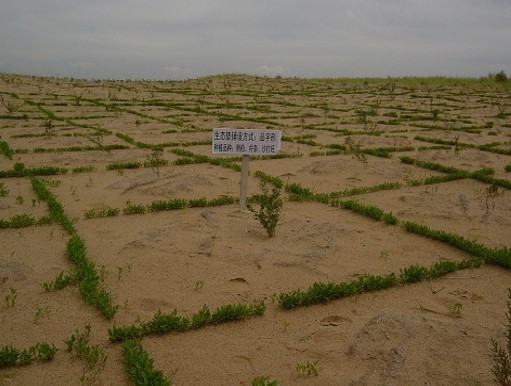 木建筑排水资料下载-路肩、防护工程、排水设施及特殊路基养护