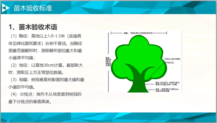 园林施工品质管控培训讲义（含图）-苗木验收术语