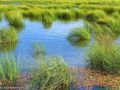 水汽风速放大计算可能最大暴雨方法探讨