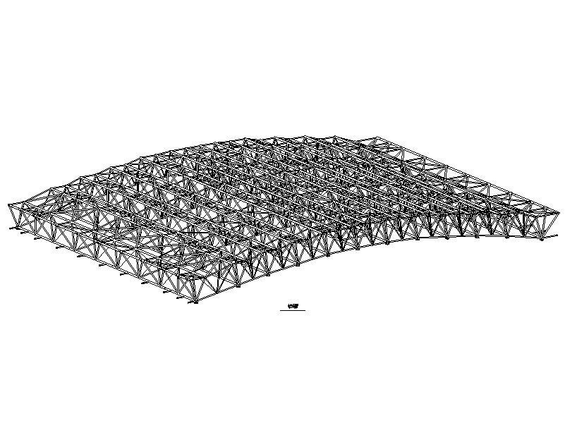 某大學體育館項目管桁架屋蓋 工程概況:主桁架製作安裝跨中起拱60mm