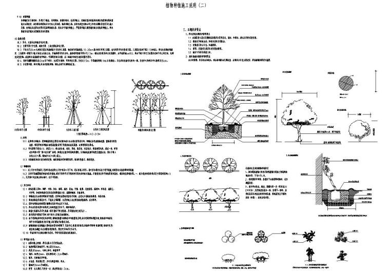 [重庆]西城住宅景观植物CAD施工图-植物种植说明二