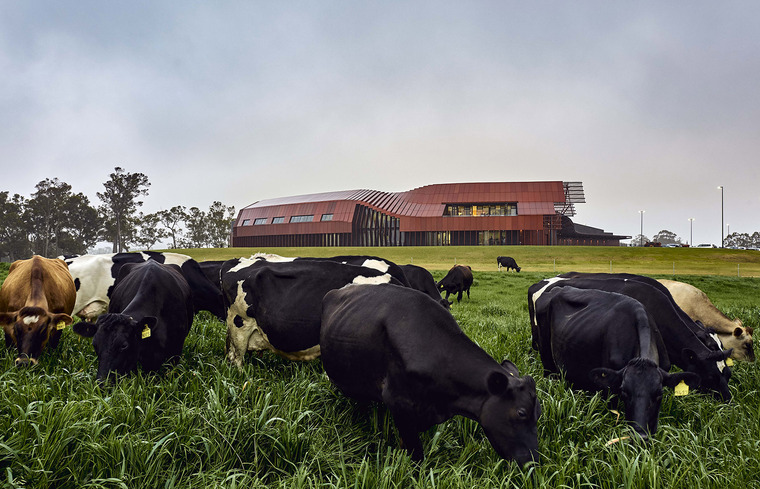 澳大利亚乳制品工业综合体-4-bannister-downs-dairy-creamery-by-bosske-architecture