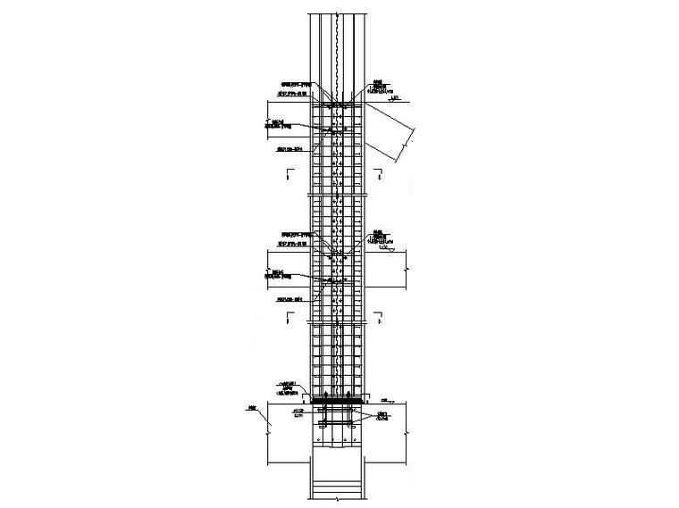 2层体育馆建筑结构幕墙图纸(管桁架屋盖)-型钢混凝土柱大样