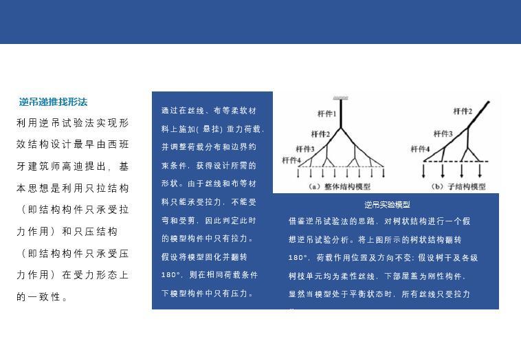 树状结构在建筑中的应用-机场航站楼为例-逆吊递推找形法