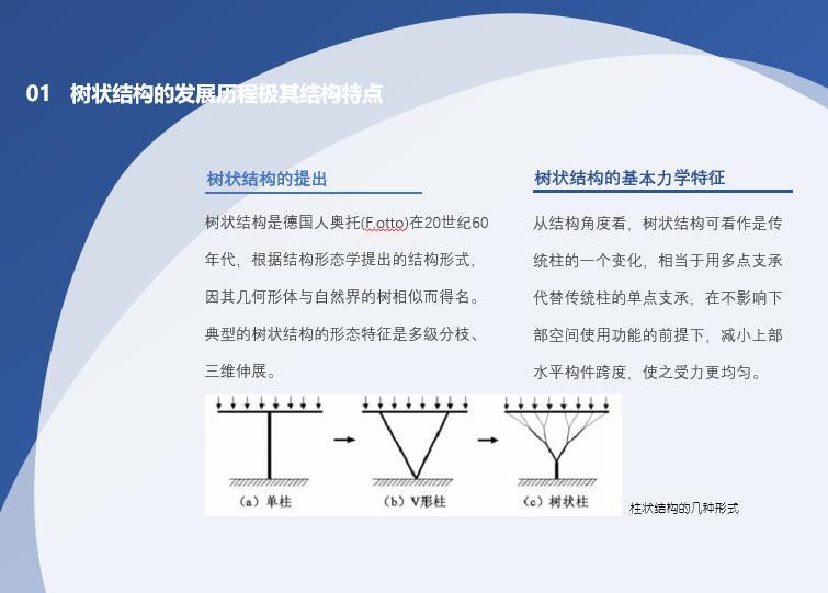 树状结构在建筑中的应用-机场航站楼为例-树状结构的发展历程极其结构特点