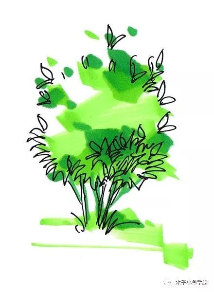 园林景观手绘｜植物单体画法——乔木、灌木_19