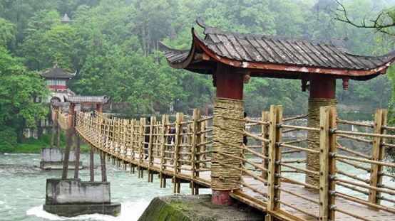 [分享]工程竹,一瓶透着现代醇香的古酒