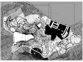 [重庆]旅游田园综合体全套施工图+方案+SU