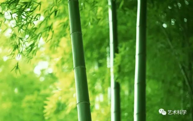 景观竹子su资料下载-竹子护宅，香椿辟邪，植物风水你知多少？