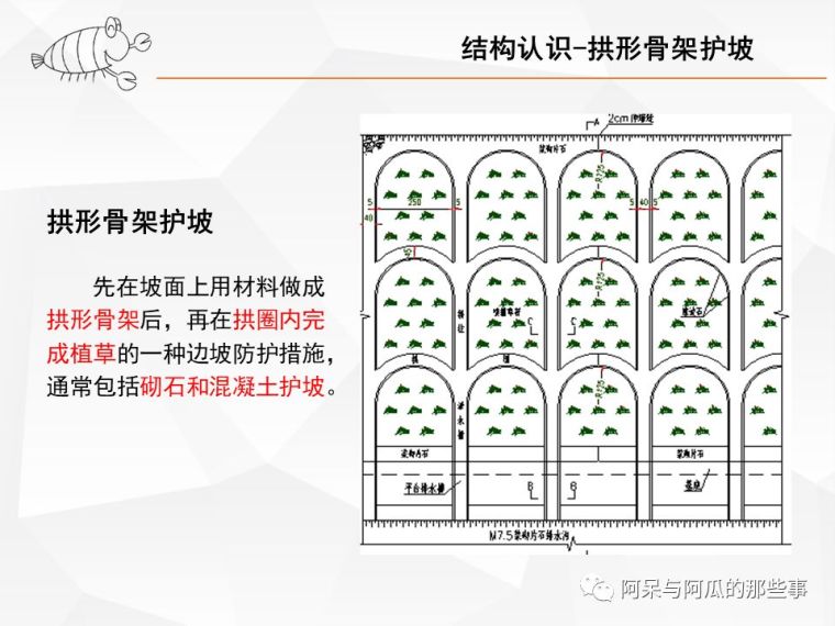 骨架护坡图片资料下载-拱形骨架护坡手把手复核