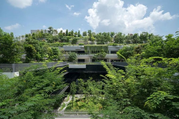 架空与绿化资料下载-为什么全世界都向新加坡学习垂直绿化？