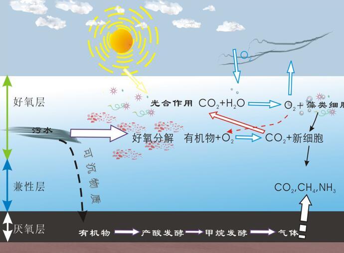 水污染应急处置资料下载-水污染控制稳定塘和污水的土地处理丨69页