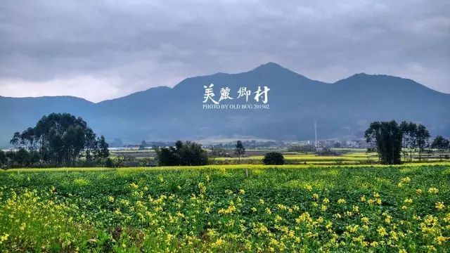 美丽乡村与资料下载-美丽乡村建设 · 负面教材