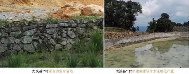 美丽乡村建设 · 负面教材_40