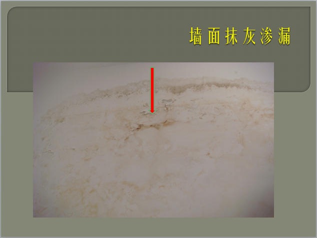 山东省住宅工程质量通病专项治理技术措施-墙面抹灰渗漏