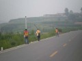[郑州]市政道路施工测量控制方案