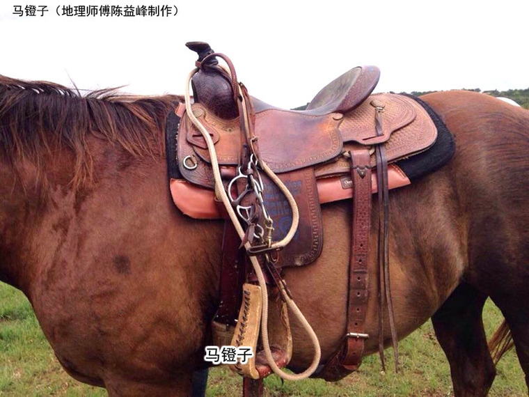 [资料]陈益峰:马镫穴,后人为大学教授