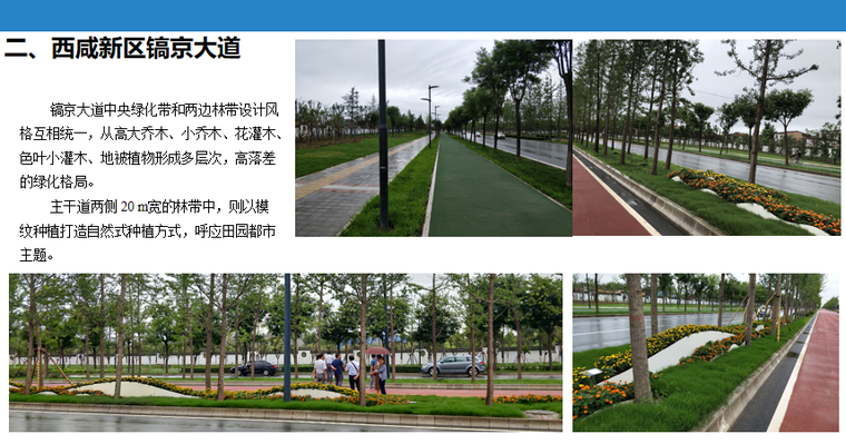 8-城市道路横断面布置及附属设施学习交流