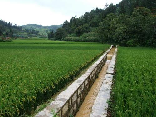 测绘cad教程资料下载-2019年农田建设项目测绘、设计招标文件定稿