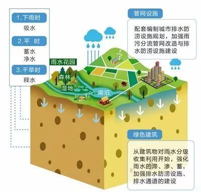 塌陷的城市马路能不能治？_11