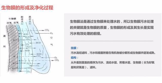 给水排水 |全国4560座污水厂处理工艺排名_8