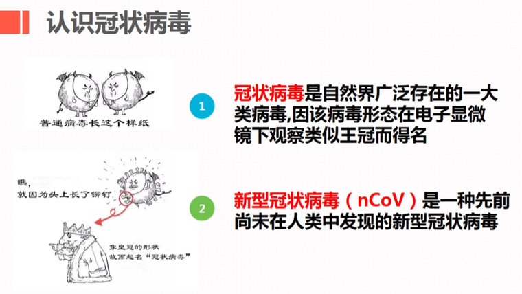 防控新型冠状病毒感染的肺炎培训讲义PPT-02认识冠状病毒