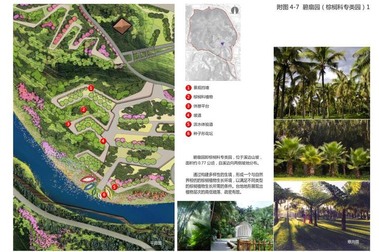 [福建]植物园策划及概念性规划方案设计-碧扇园棕榈科专类园