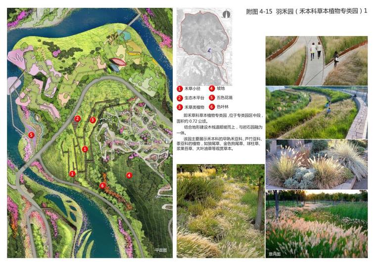 [福建]植物园策划及概念性规划方案设计-禾本科草本植物专类园