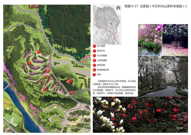 [福建]植物园策划及概念性规划方案设计-木兰科与山茶科专类园