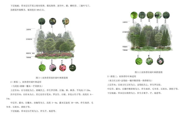 [福建]植物园策划及概念性规划方案设计-下层地被