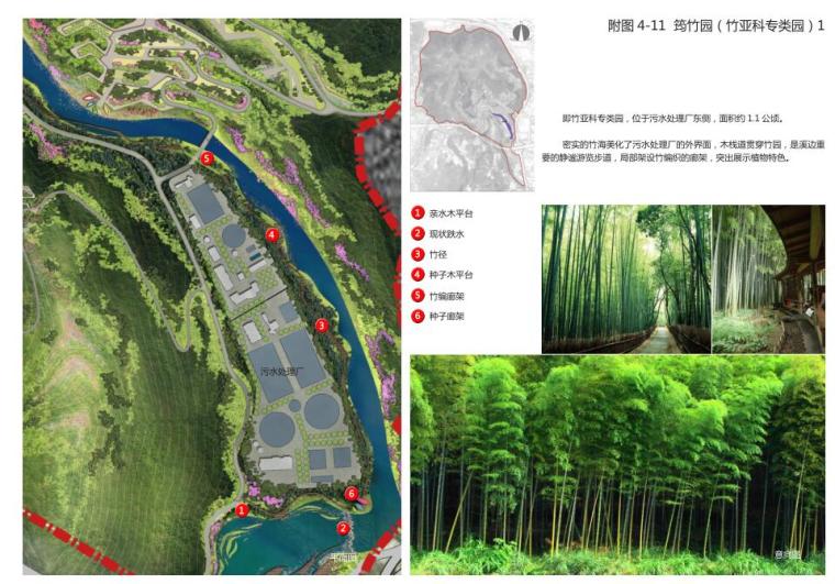 [福建]植物园策划及概念性规划方案设计-竹亚科专类园