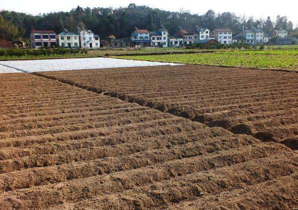 城乡建设用地规范资料下载-城乡建设用地增减挂钩项目