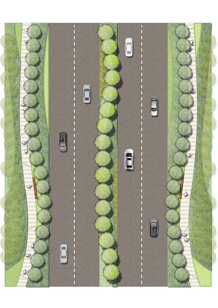 道路标准段2