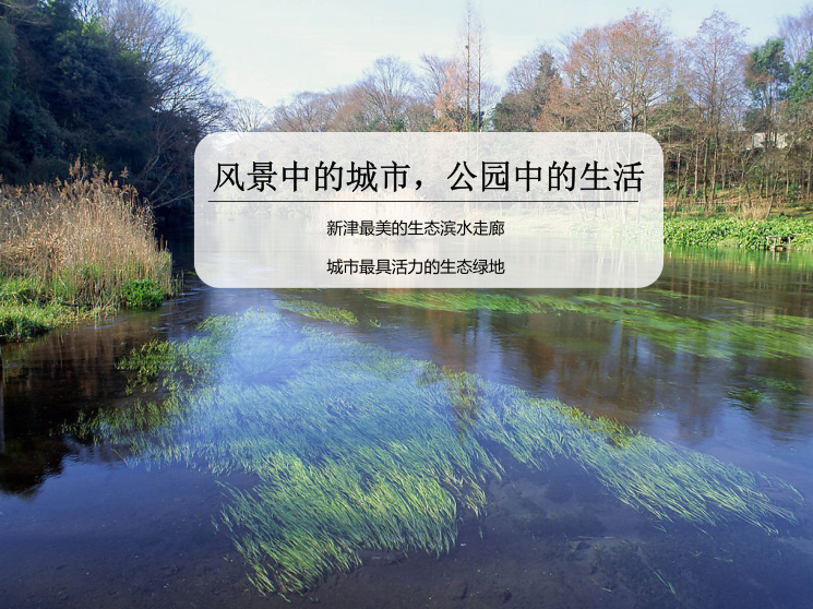 洞庭湖水环境综合治理工程资料下载-[成都]新津县杨柳湖水环境综合治理项目规划