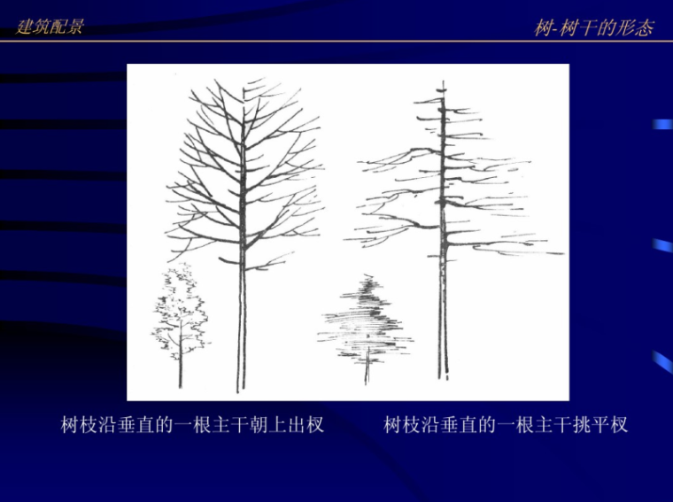 校园建筑钢笔画资料下载-建筑钢笔画_建筑配景配景教程58p