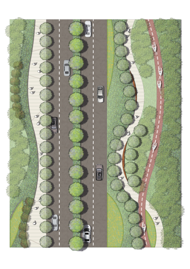 道路标准段绿化图资料下载-道路标准段PSD彩色横断面、剖面图