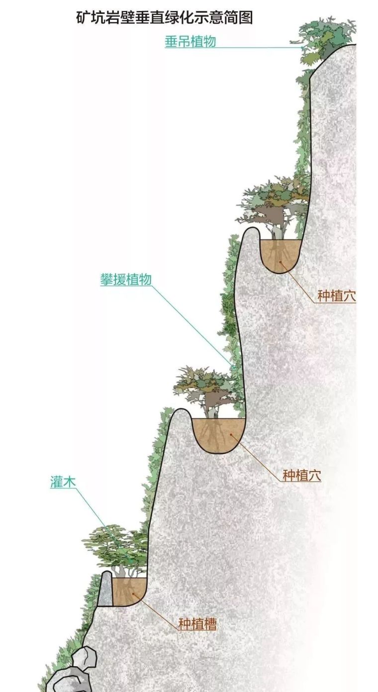 昔日矿坑，今朝公园_3