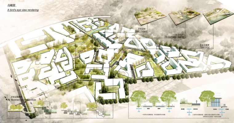 鸟瞰图建筑psd素材资料下载-IFLA竞赛风专属素材PSD-高端竞赛风鸟瞰图