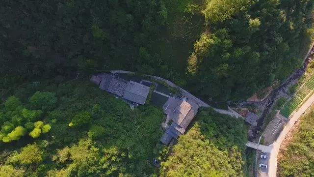 5户人家的山村，种苔藓抚清风逍遥人生_1