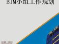 BIM小组工作规划参考案例（15页）