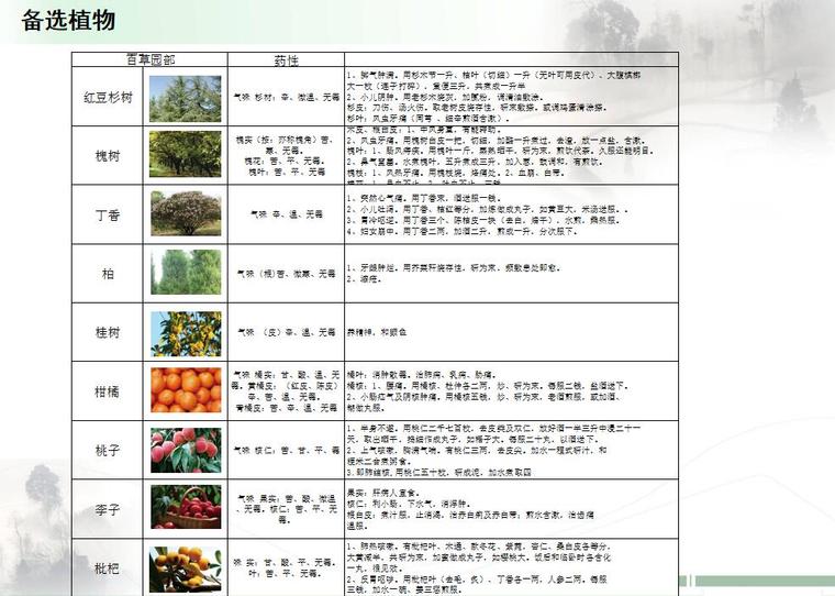 [云南]宜良县靖安哨美丽乡村景观设计-备选植物