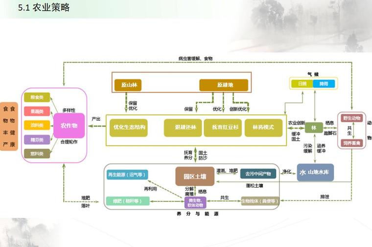 [云南]宜良县靖安哨美丽乡村景观设计-农业策略