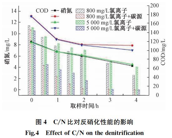 给水排水 |当MBBR工艺受到氯离子冲击......_6