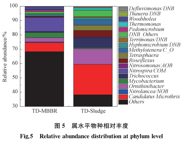 给水排水 |当MBBR工艺受到氯离子冲击......_7