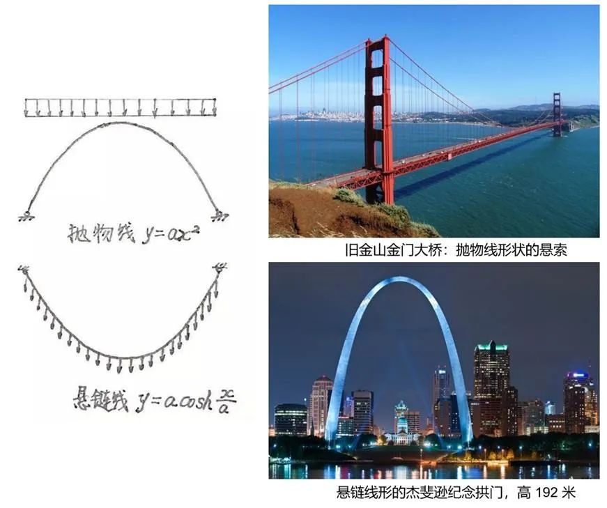 抛物线与悬链线在结构中的应用
