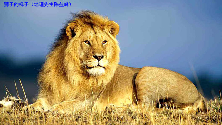 [资料]陈益峰:狮子回头,石柱土司家族陈氏祠堂